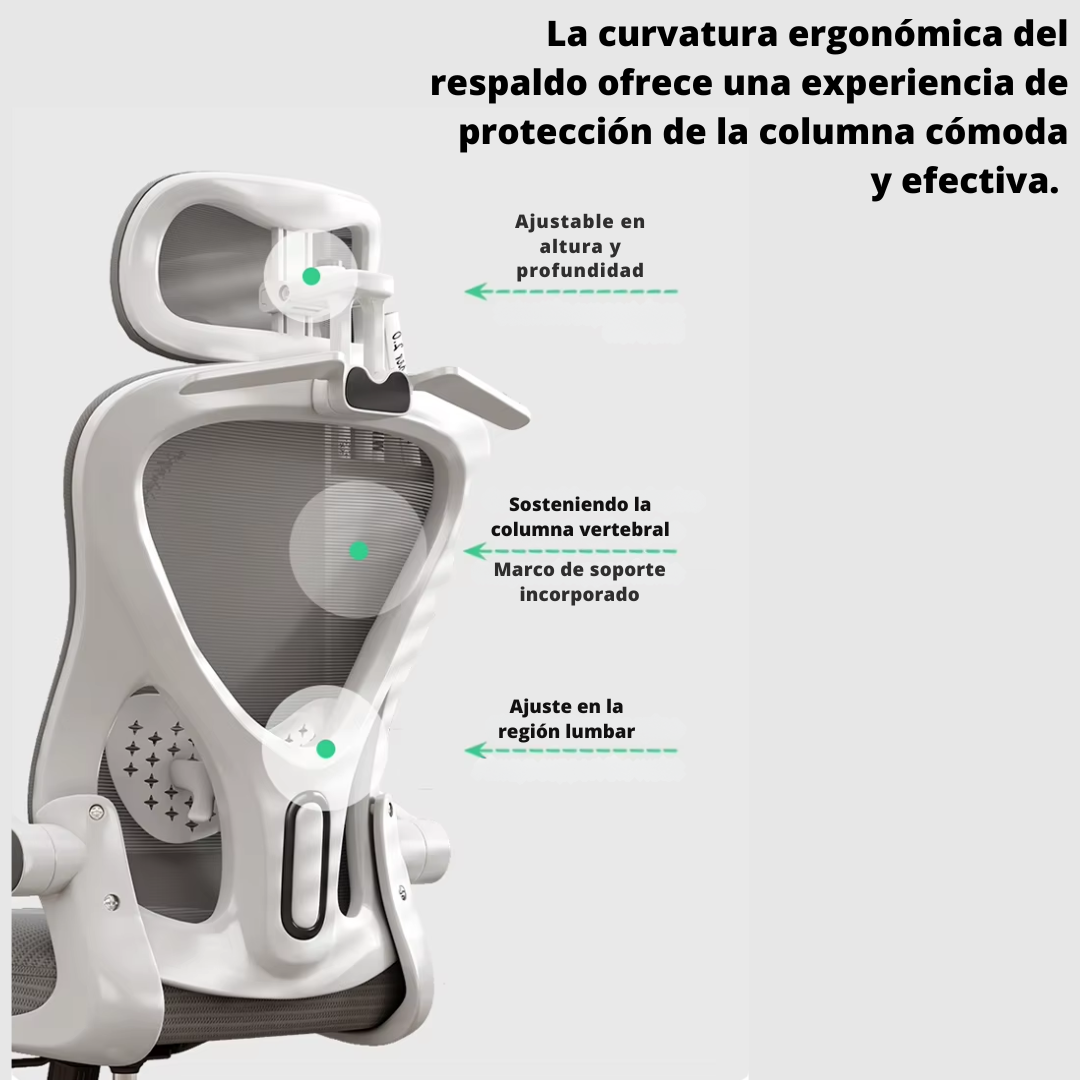 Curvatura ergonómica del respaldo de la silla ORION: soporte de columna ajustable en altura y profundidad