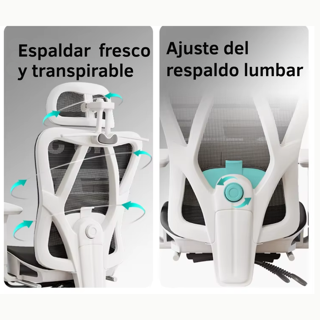 Espaldar fresco y transpirable de la silla ergonómica ZIAN con ajuste de respaldo lumbar