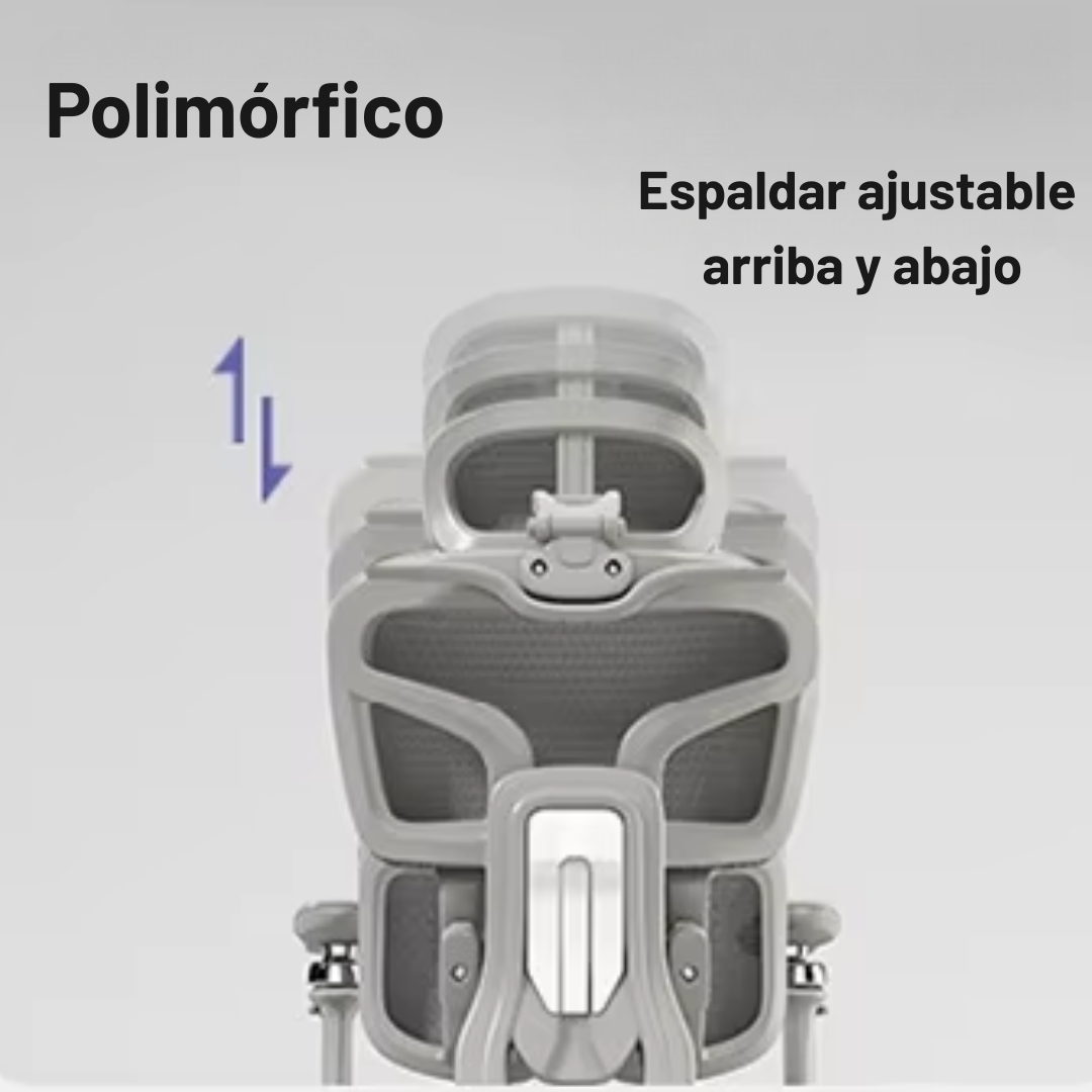 Espaldar polimórfico ajustable arriba y abajo de la silla ergonómica MAGNUM