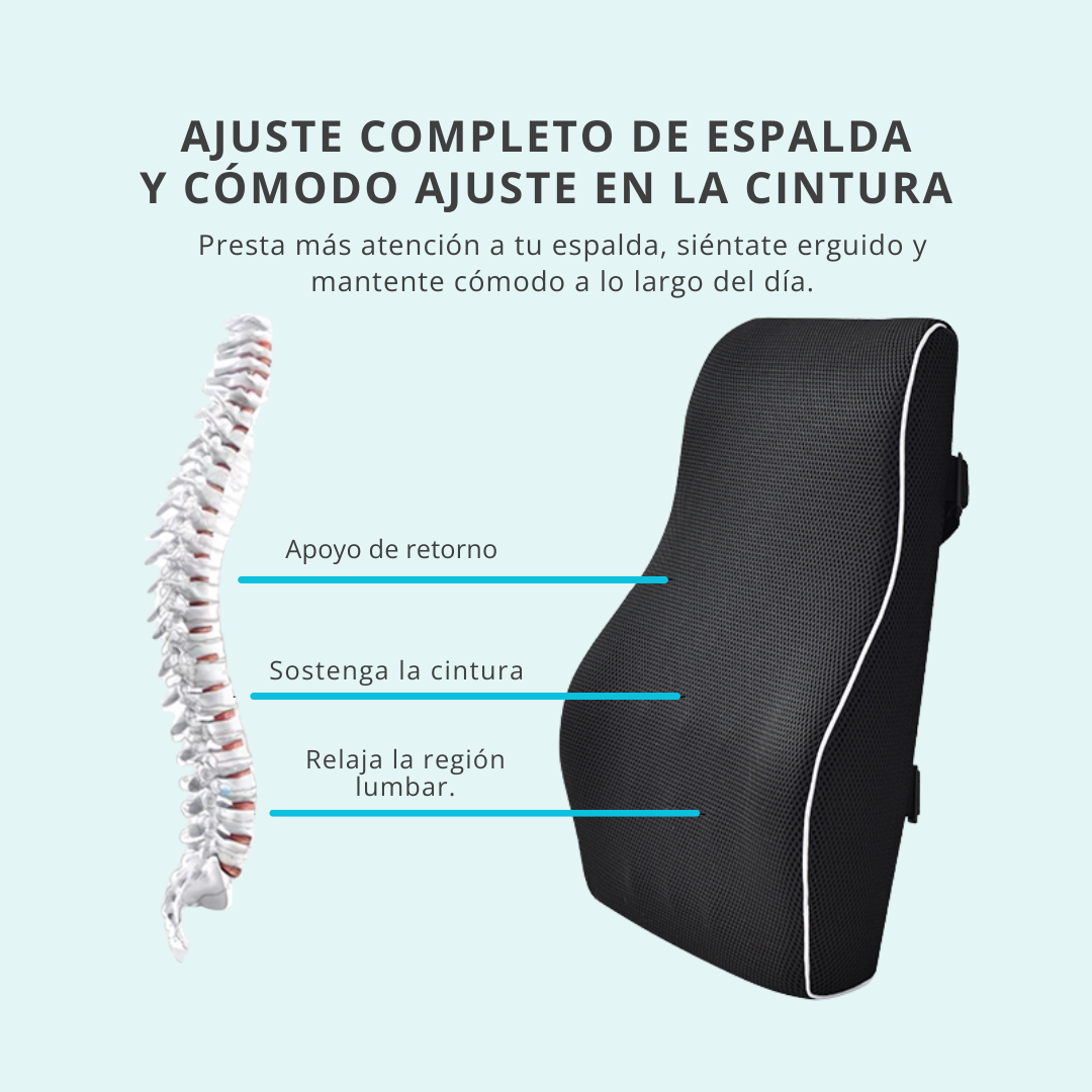 Infografía: ajuste anatómico del cojín lumbar en la zona baja y media de la espalda