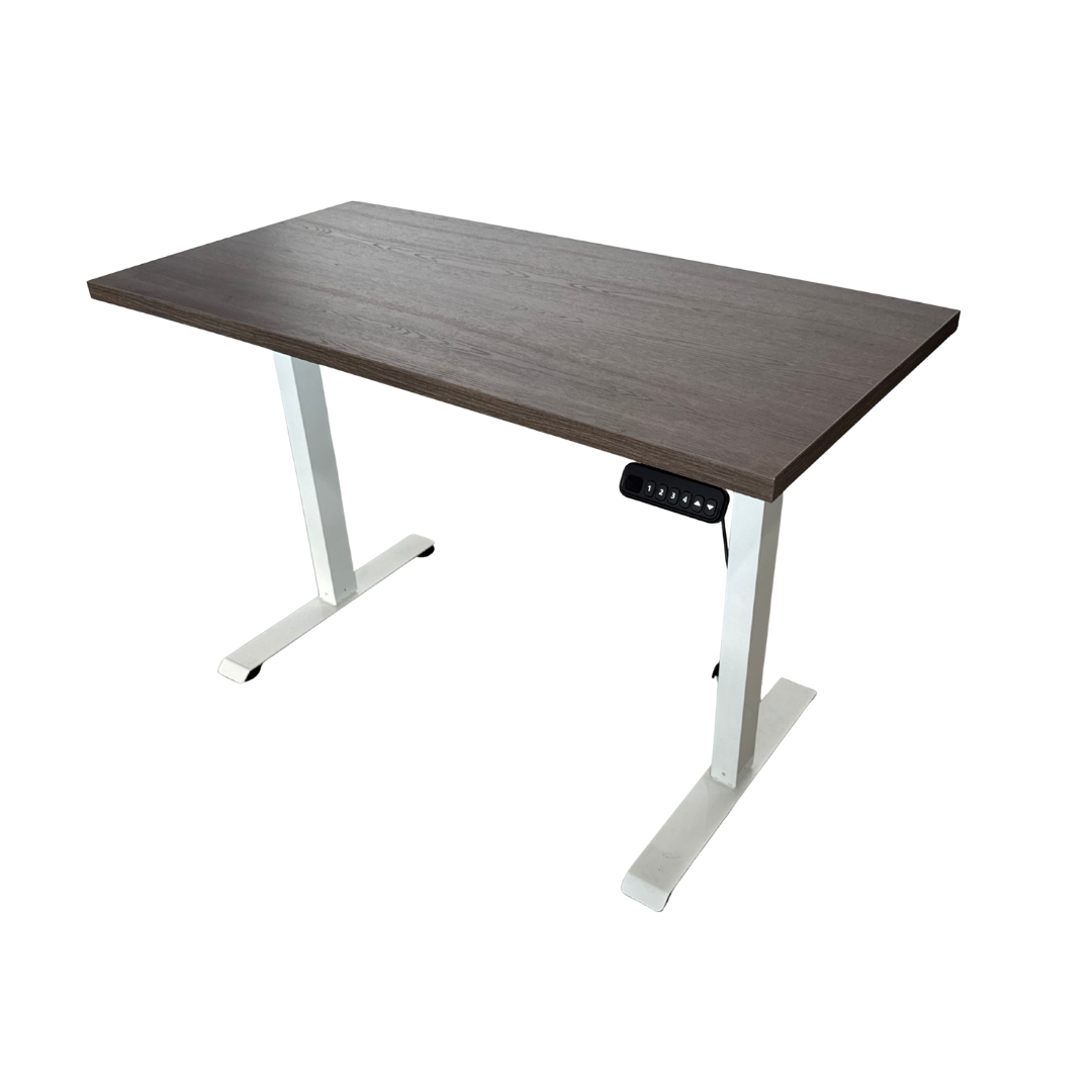 ESCRITORIO AJUSTABLE EN ALTURA ELÉCTRICO 1-MOTOR CON TABLA DE 120X60CM